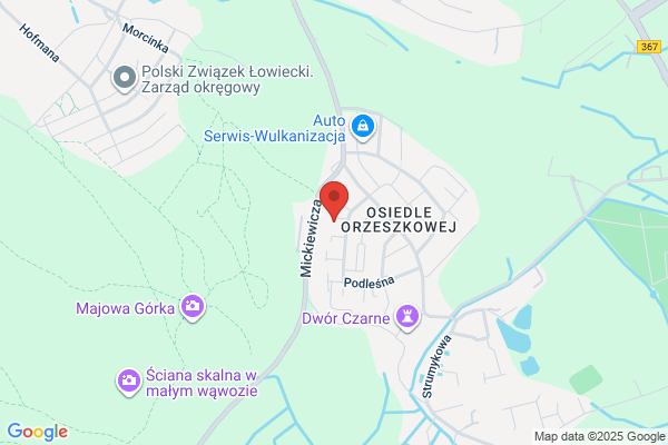 Parys. Zbrojenie terenu