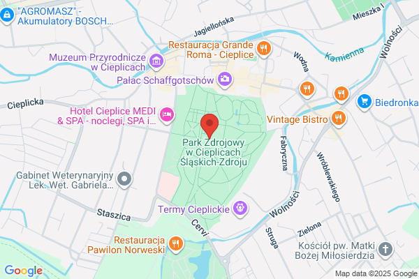 Palac Zdrojowy. Kawiarnia