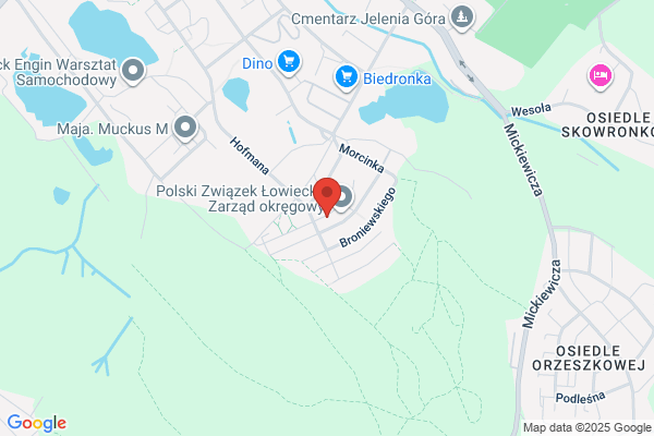 Ciechanowski Józef, lek. med. pediatra. Gabinet