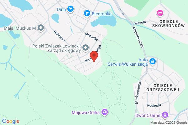 Drewkan. FPHU. Toronczak B.