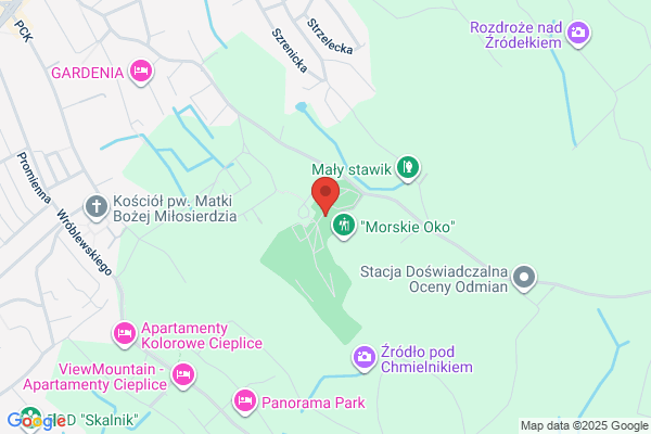 Cmentarz komunalny