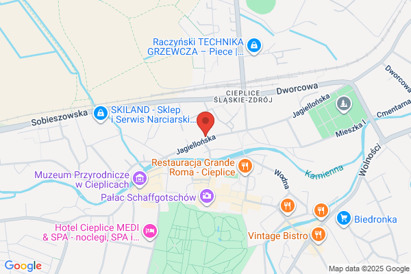 Sotis Plus. Serwis, sprzedaz urzadzen grzewczych. Mendrygal R.