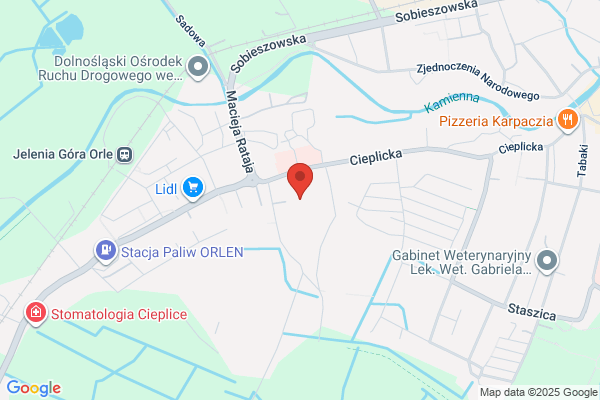 Spoleczne Ognisko Muzyczne