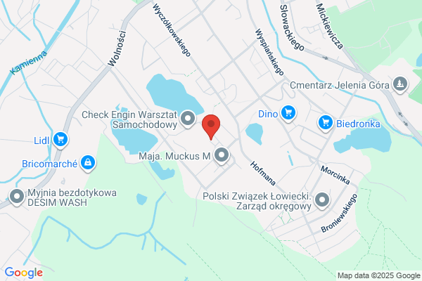 Krzysztofiak Andrzej. Uslugi transportowe