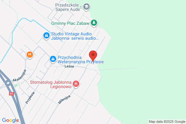 Dom Bez Alergii - pranie dywanów i tapicerki meblowej