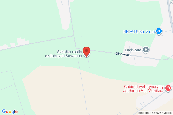 Szkółka roślin ozdobnych Sawanna