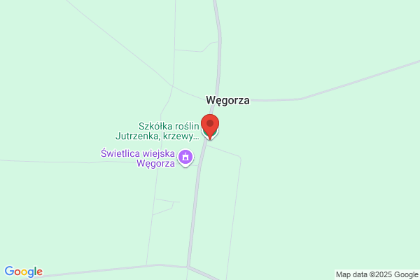 Gospodarstwo szkólkarskie. Pnacza i winorosle