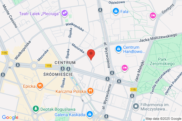 Ksero-Szczony z Sulecinka. Grupa muzyczna