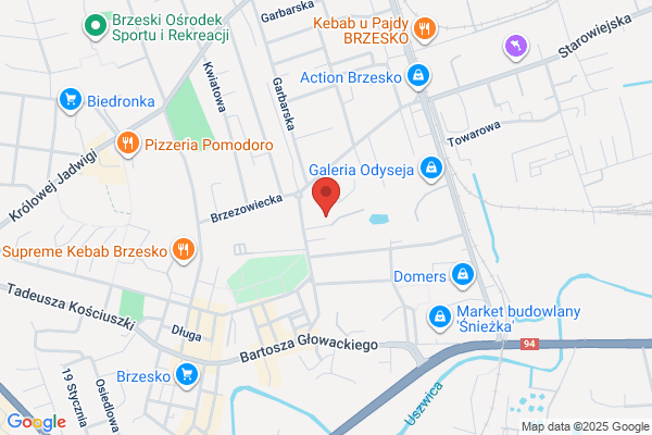 Brzeska Witryna Internetowa
