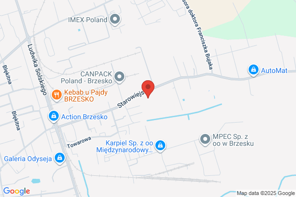 Formica. Biuro rachunkowe. Mrówka K., mgr inz.