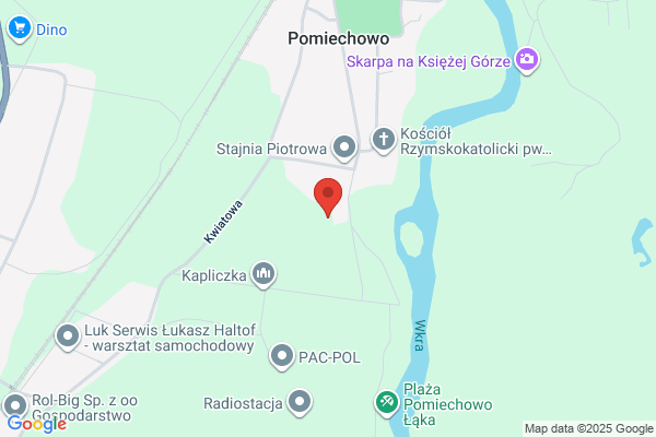 Eskorta. Szkolenie psów, ho