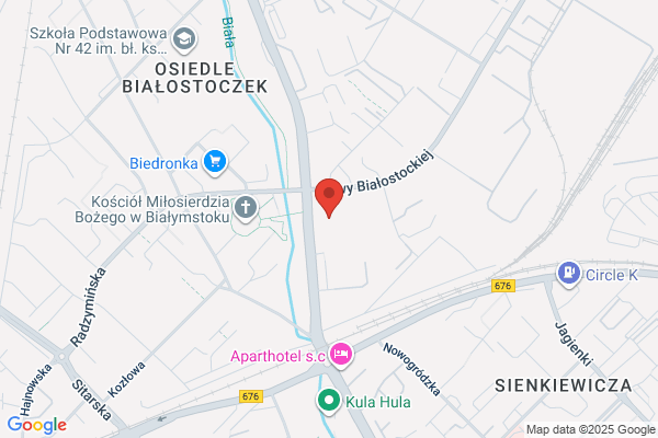 Dromobud. Borzuchowski W.