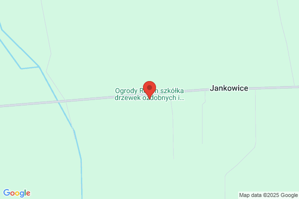 Domzol Antonina. Sprzedaz krzewów ozdobnych