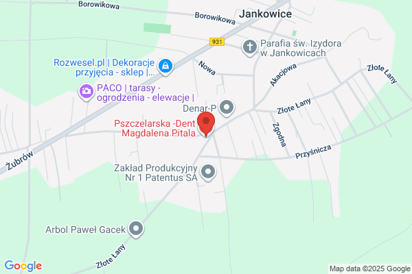 Medident. Niepubliczny Zaklad Opieki Zdrowotnej. Homa A.