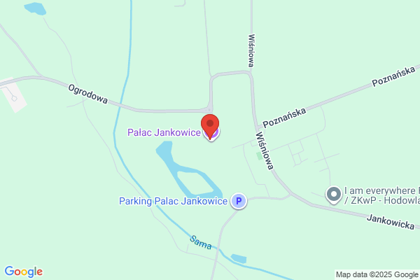 Oczko. Cafe Bar. Janosz T.