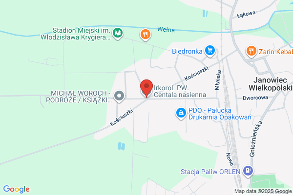 Irkorol. PW. Centarla nasienna. Kapczynska K.