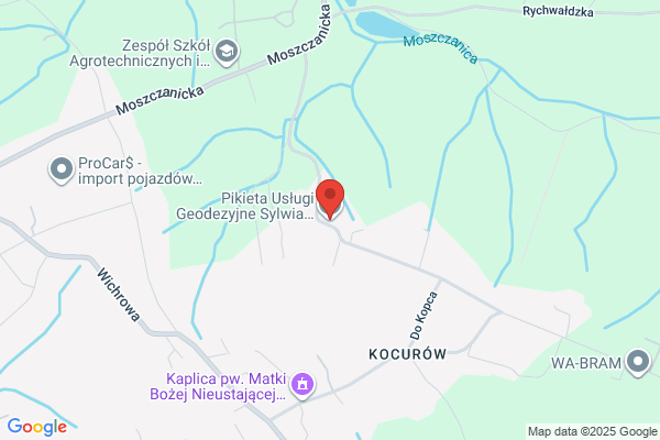 Kolodziej Bernadeta. Uslugi geodezyjno - kartograficzne