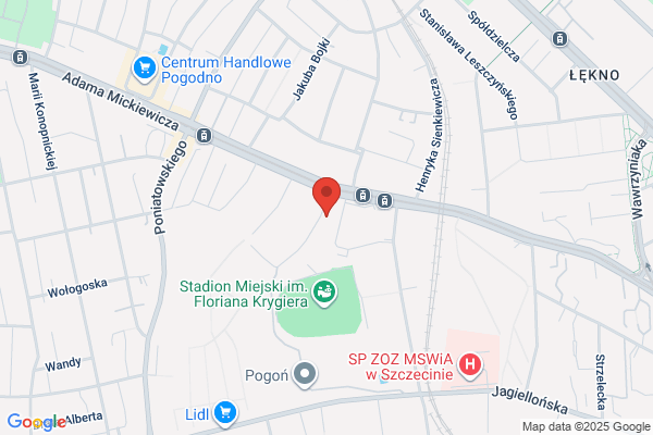 Bit. Sprzet komputerowy, sieci. Serwis