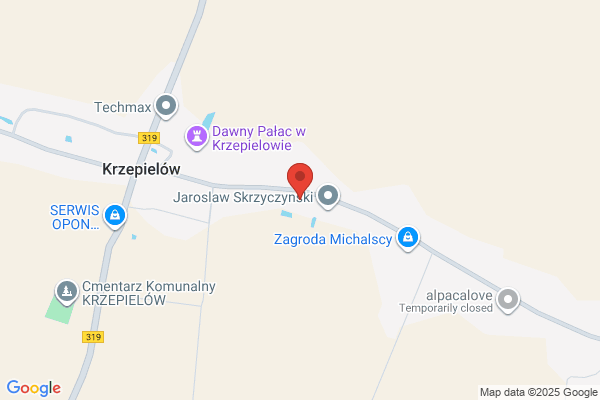 Krzepton Dorota. Uslugi transportowe