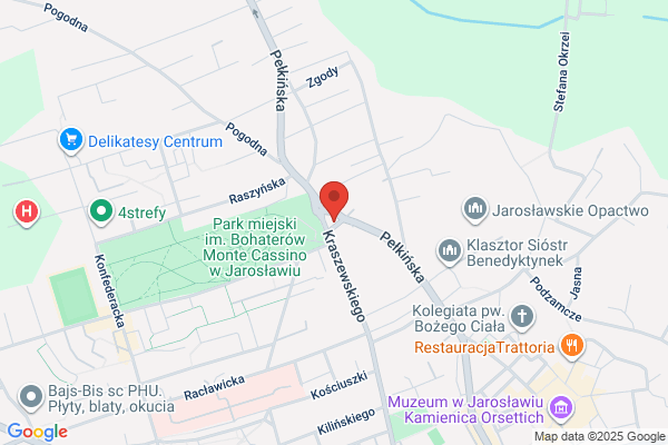 Polski Koncern Naftowy Orlen SA. Stacja paliw