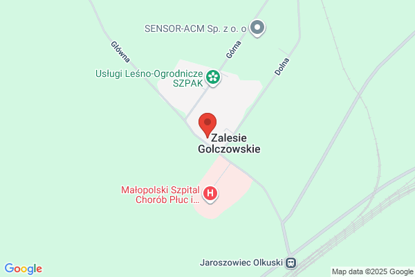 Julmax. FPH. Olesiak M.