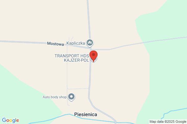 Kajzar M. Transport krajowy i zagraniczny