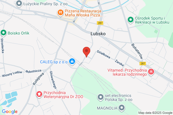 Makarewicz. Szkola nauki jazdy. Debska A.