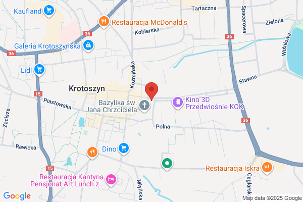 Grzyb Zdzislaw. Naprawa AGD
