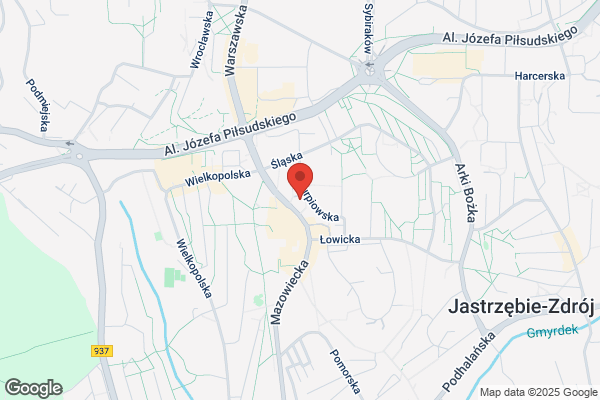 Jalowiczor Franciszek. Czyszczenie dywanów, wykladzin i tapicerek