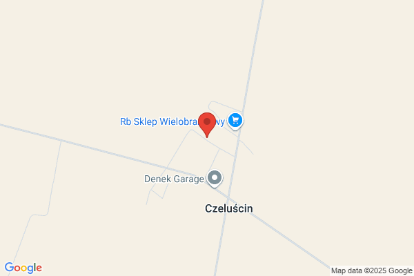 Kocylo Ewelina. Czyszczenie dywanów