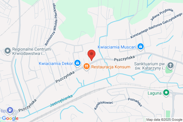 Azalia. Kwiaciarnia