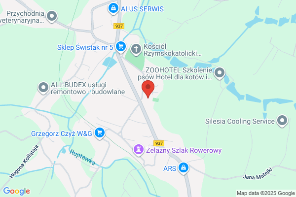 Szkola Podstawowa nr 17 im. J. Brzechwy