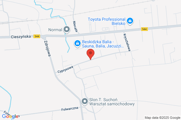 Bolek Damian. Pieczarkarnia