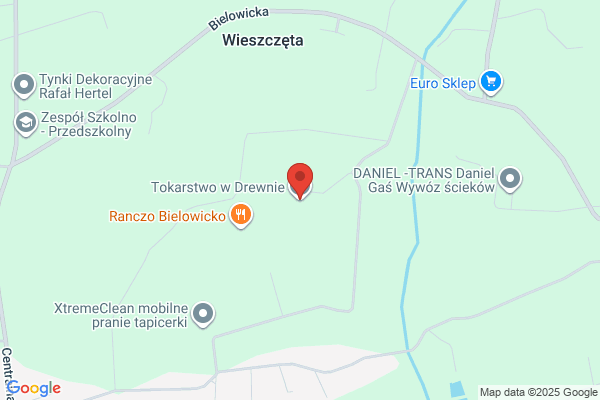 Ficon Czeslaw. Tokarstwo w drewnie