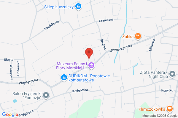 Montis. Kompleksowa obsluga ksiegowa firm. Pastwa M.