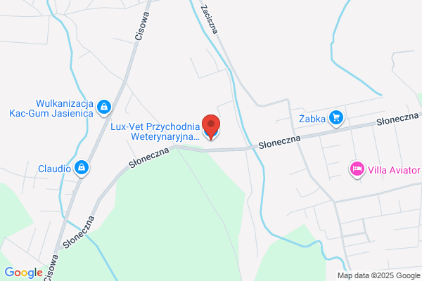 Pojda Krzysztof, lek. wet.
