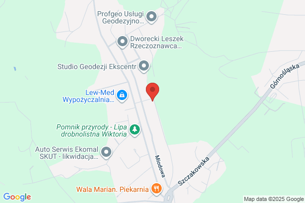 Geo-Pro-Serwis. Uslugi inzynieryjno - techniczne. Czaicki K.