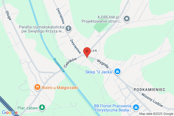 Grzybek Aleksandra. Nauka jezyka angielskiego