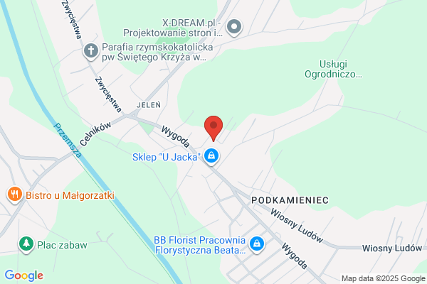 Dziubek Aneta. PW. Odziez