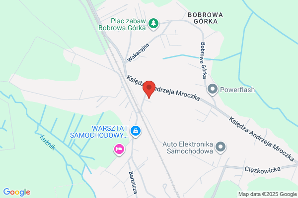 Sprzedaz drzewek i krzewów ozdobnych