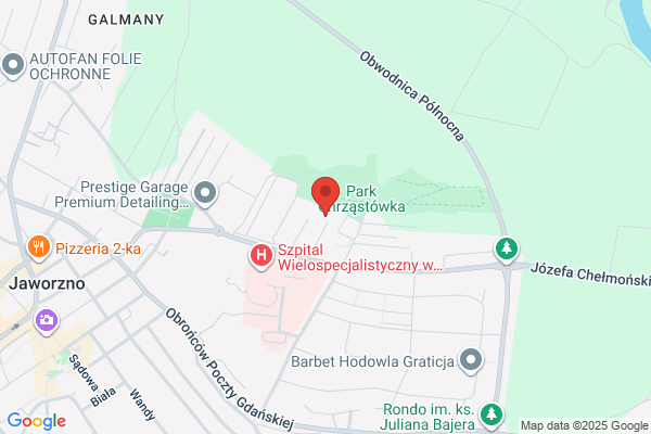 Azi Med. Rehabilitacja dzieci. Domagala I.