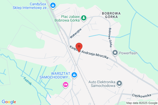 Smarzynski Tomasz. Projektowanie terenów zieleni