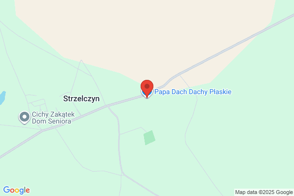 Artur. Pokrycia dachowe. Prokopowicz A.