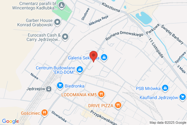 Sojusz Lewicy Demokratycznej. Rada powiatowa