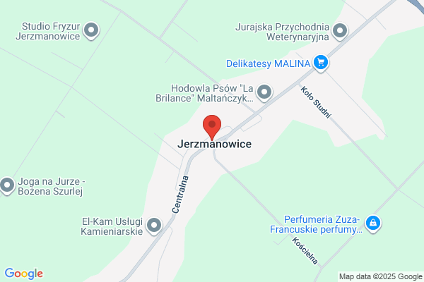 Exim. Sklep wielobranzowy. Grzyb R.