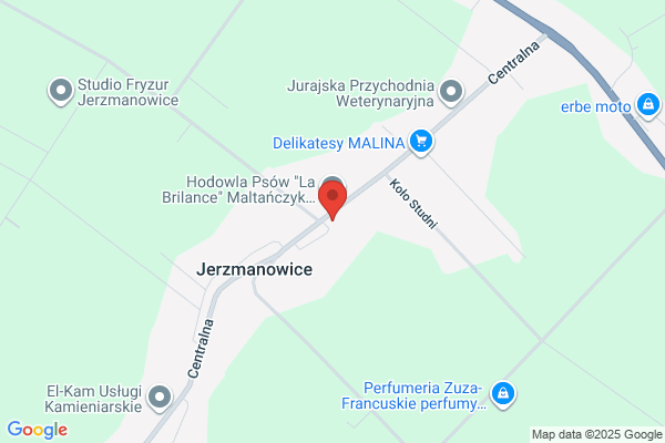 Filipek. Sprzedaz szachów