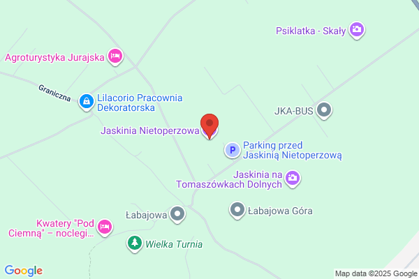 Jaskinia Nietoperzowa