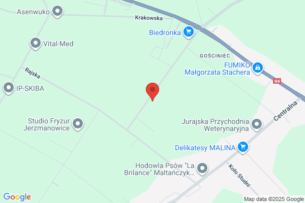 Niedziólka. Niedziólka J.