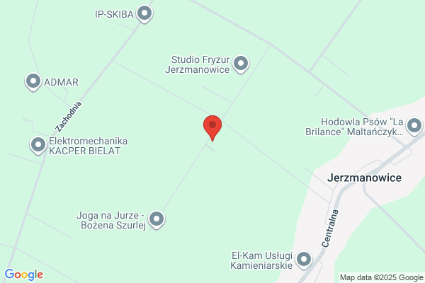 Pino. Produkcja zabawek z drewna