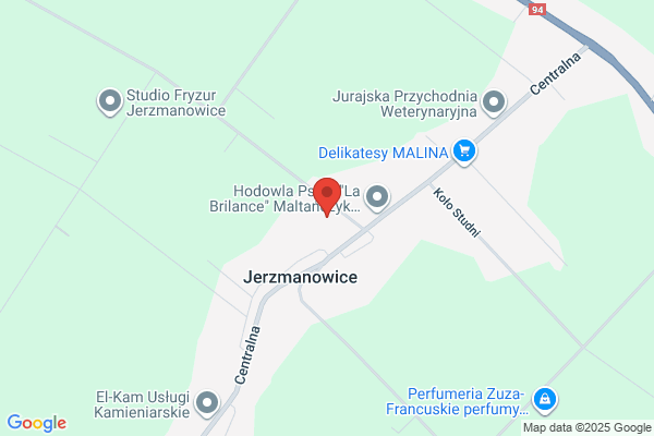 Plomien. Ludowy Klub Sportowy
